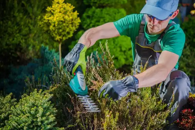 landscaping services North Patchogue